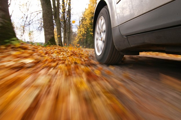 jesien_szkola_auto